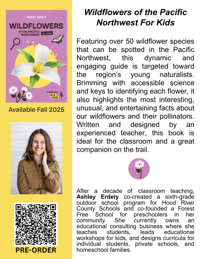 Postcard Front QRCODE