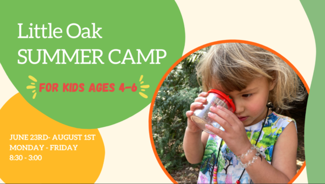 Screenshot 2025 04 04 at 1 54 54 PM